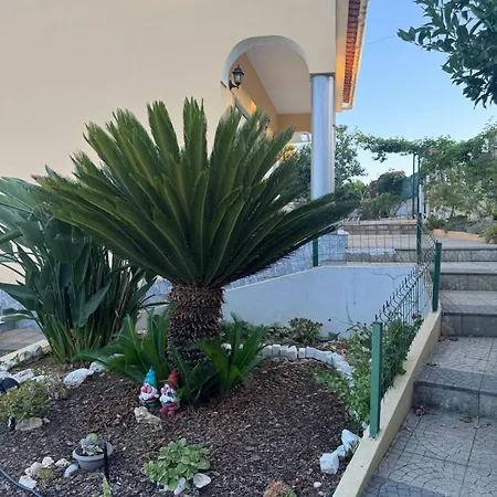 Casa Palmeirinha